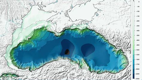водросли черного моря - индикаторы чистоты